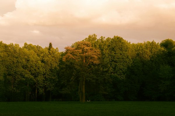 Entraînement Fractionné : Le Secret Révélé pour une Minceur Durable et Efficace